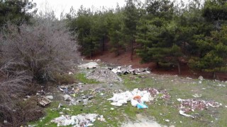 Amasyada orman çöplüğe dönüştü: Bu toprakları piyangodan kazanmadık