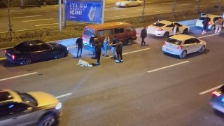 Ankarada başıboş köpek sorunu kazalara neden oluyor