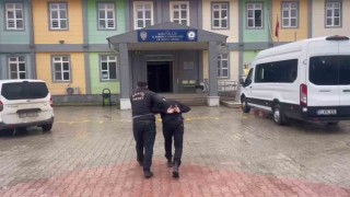 Antakyada canlı hayvan çalan şüpheli yakalandı