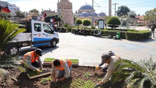 Antalya 4 Milyon Çiçekle Renkleniyor