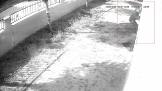 Apartman dairesine tırmanıp girdi, dizüstü bilgisayar çaldı