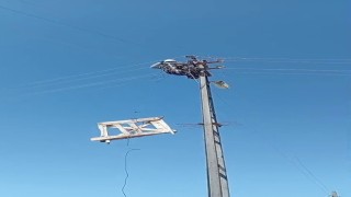 Aras Elektrikten doğa dostu adım: Fırtınada zarar gören leylek yuvaları yeniden yerine yerleştirildi