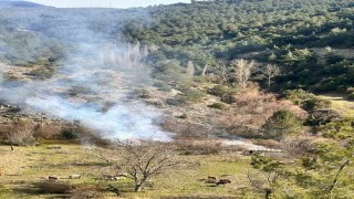 Arazisinde otları temizlik amaçlı yaktı, vatandaş orman yangını ihbarında bulundu
