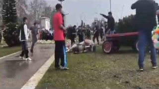 Atını sopa ve tekmeyle bayılttı