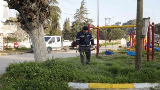 Aydın Büyükşehirden Koçarlıya yeşil dokunuş