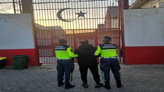 Aydında göçmen kaçakçılığı operasyonu: 12 düzensiz göçmen yakalandı