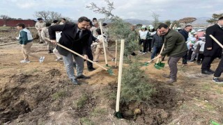 Ayvacıkta 1500 fidan toprakla buluşturuldu