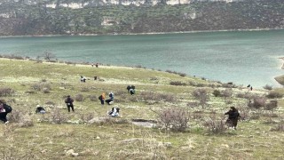 Bahar çiçeği nergisler doğaseverlerin ilgi odağı oldu