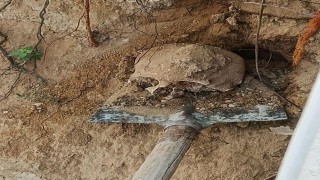 Bahçede yapılan kazıda insan kafatası ve kemikler bulundu