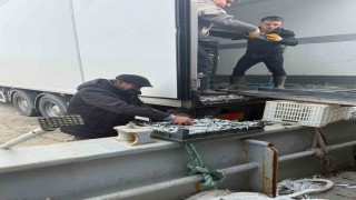 Balıkçı Ramazanda ücretsiz hamsi dağıttı