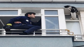 Balkondan uzanan yardım eli minik canı kurtardı