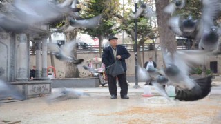 Bayramda eşini dostunu bıraktı, beslediği kuşlara koştu
