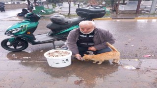 Bayramda sokak hayvanlarını unutmadı