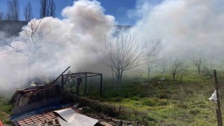 Bilecikte bağ evinde çıkan yangın korkuttu