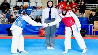 Bilecikte Tekvando Yıldızlar İl Birinciliği tamamlandı