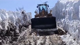 Bingölde karla mücadele çalışmaları sürüyor