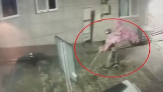 ‘Bir kafeden daha fazlası yazısını fark etti, ağacı sırtlayıp gitti O anlar kamerada