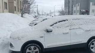 Bitliste kar yağışı