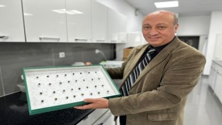 Böcekler cinayetleri aydınlatıyor: Ölüm zamanı ve olay yeri entomolojiyle belirlenebiliyor