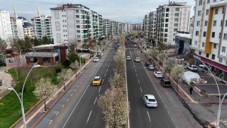 Bulvarlar süs armutlarıyla görsel şölene dönüştü