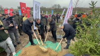 Bursada 2 yıl önce yanan 80 hektarlık alan ağaçlandırıldı