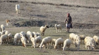 Bursada boğazından bıçaklanarak öldürülen kadının eski görüntüleri ortaya çıktı