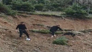 Çamura saplanan keçi son anda kurtarıldı
