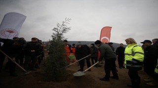 Çanakkalede Dünya Ormancılık Gününde 5 bin fidan toprakla buluştu