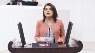 CHP’li Kış; “Dünyada Gıda Ucuzluyor, Türkiye’de Artıyor”