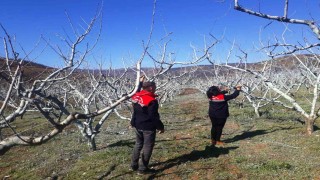 Çiftçilere bordo bulamacı uyarısı