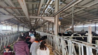 Çocuklar, tarımsal üretimi yerinde inceledi