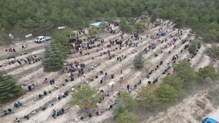Çorumda yüzlerce fidan toprakla buluştu