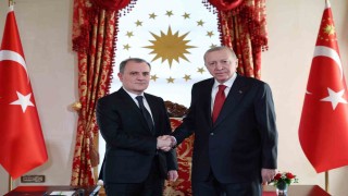 Cumhurbaşkanı Erdoğan, Türk Devletleri Teşkilatı heyetini kabul etti