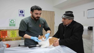 Cumhuriyet tarihinin ilk fakültesine ait hastanede, bir yılda 9 bin 600 hayvan şifa buldu