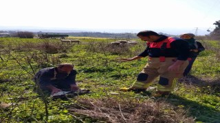 Defnede kuyuya düşen kuzuyu itfaiye kurtardı
