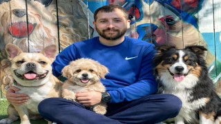 Denizli’de Köpek Oteline İlgi Artıyor