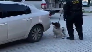 Denizlide narkotik operasyonunda 6 kilo esrar ele geçirildi