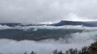Derecikte sisli manzara mest etti