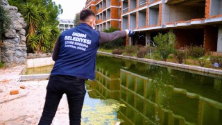 Didim Belediyesinden sinekle mücadele