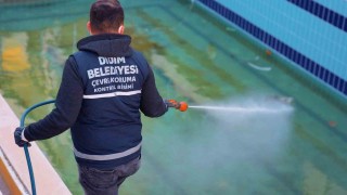 Didimde vektörle mücadele dört mevsim sürüyor
