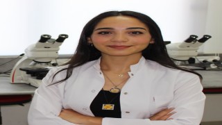 Dirençli mantar enfeksiyonlarına karşı yeni tedavi yaklaşımı geliştiriliyor