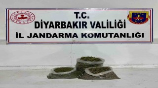 Diyarbakırda 14 kilo esrar ele geçirildi