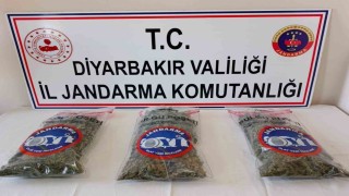 Diyarbakırda 25 kilo esrar ele geçirildi