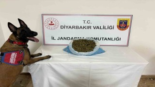 Diyarbakırda uyuşturucu operasyonu: 14 gözaltı