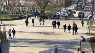 Domuz gribi vakalarında artış