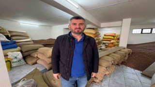 Düşmeye devam eden fındık fiyatını yeni sezon rekoltesi belirleyecek
