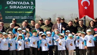 Düzcede yüzlerce fidan toprakla buluştu