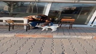 Edirnede de keçi ile alışveriş keyfi
