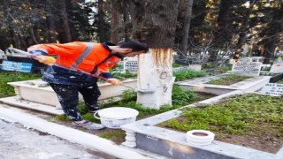 Edremit Belediyesi bayram öncesi mezarlıklarda bakım çalışmalarını sıkılaştırdı