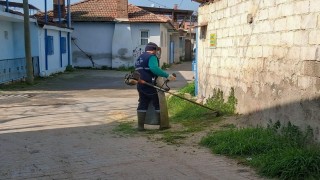 Efeler Belediyesinin yeşil alan çalışmaları sürüyor